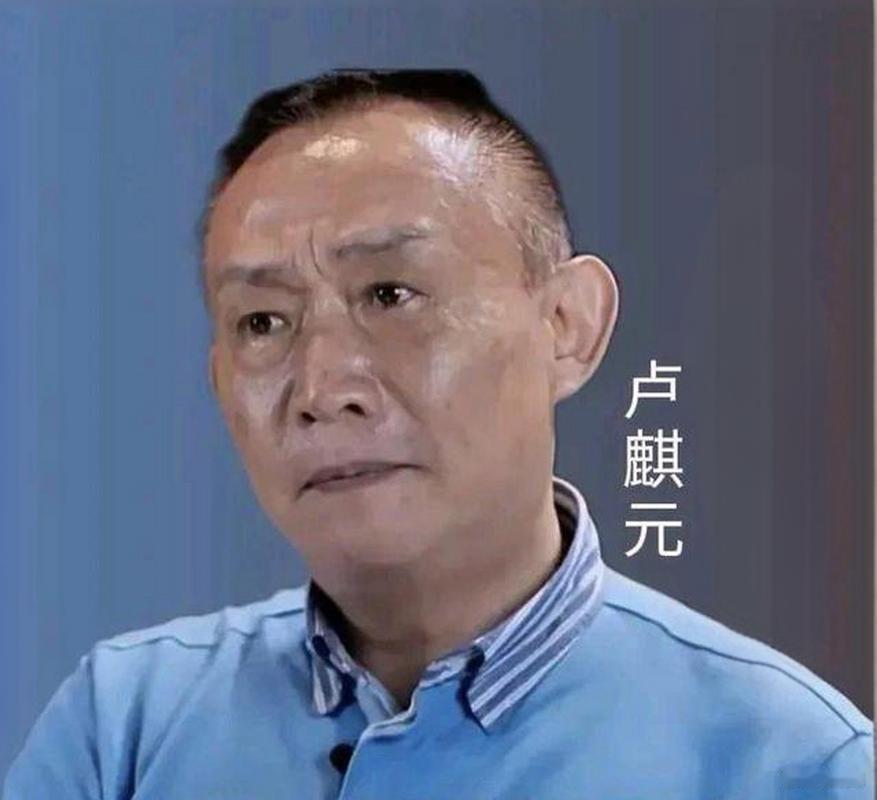 卢麒元这番话，真是一巴掌打醒了不少人！
 他说自己带出来的学生，就因为在论文里质