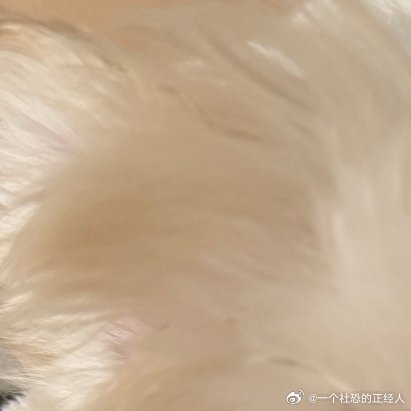 每日一善阳光信用 每日‬一善每日一善你好一起保护大自然与社会携手做公益关爱唇腭裂