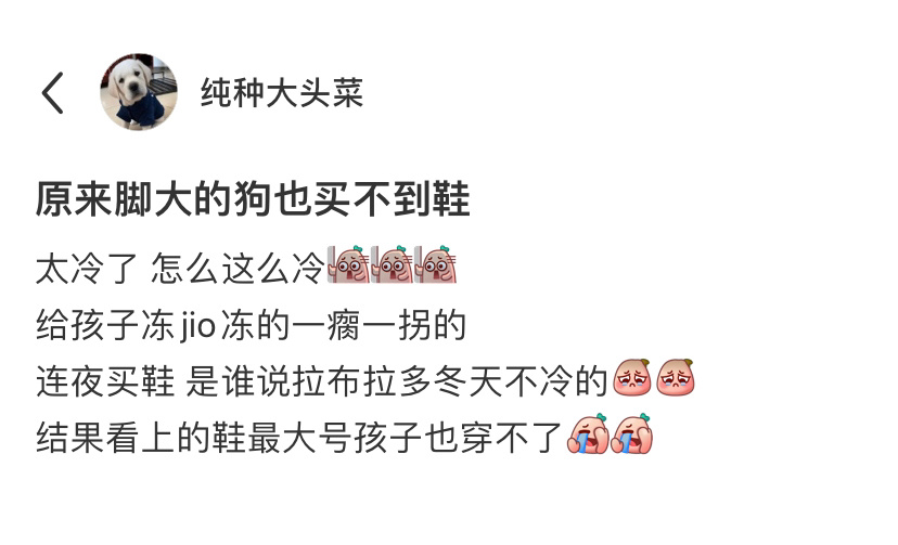 原来脚大的狗也买不到鞋子[doge] ​​​