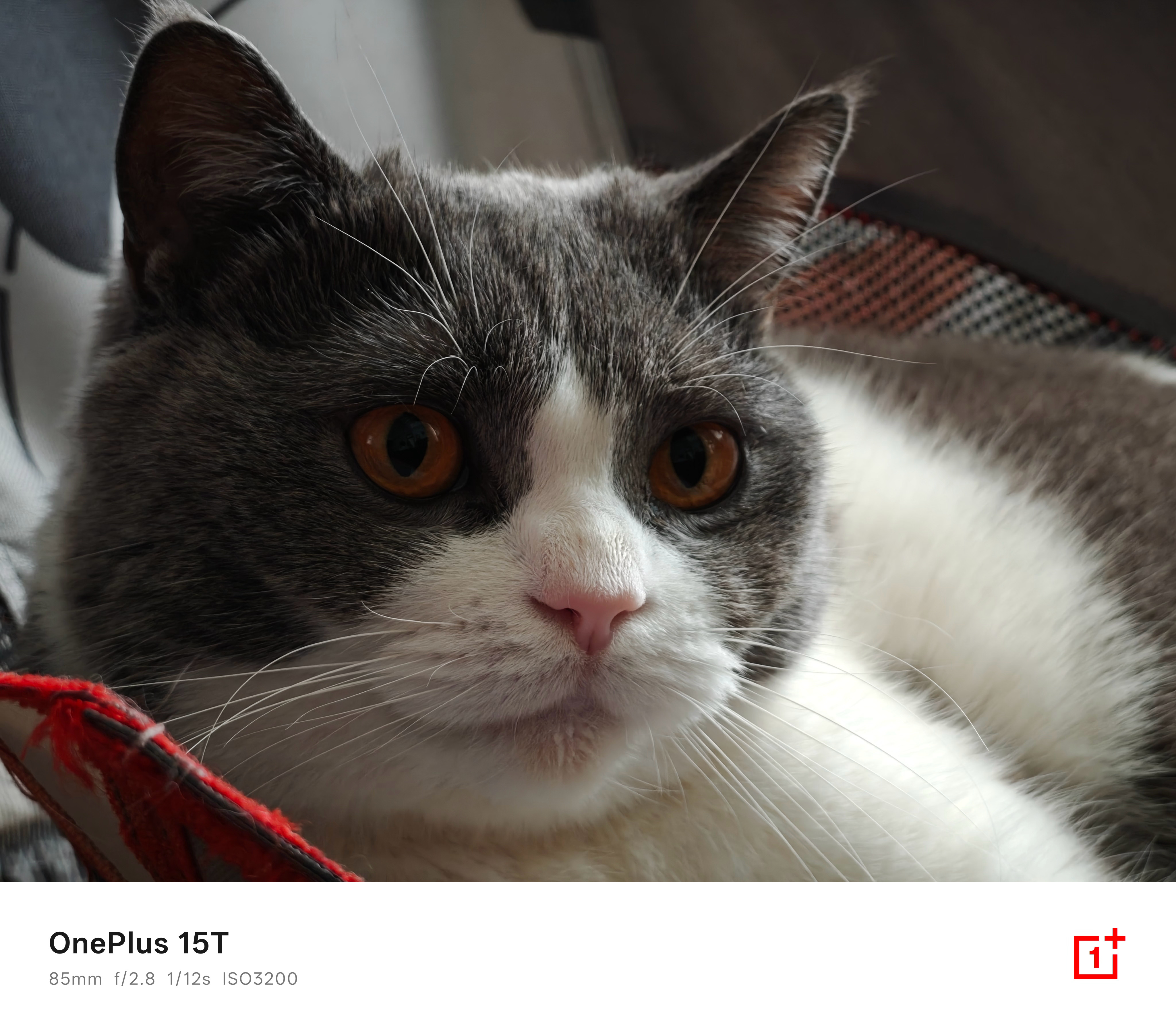 有长焦就是好啊，小机器、外观顶、电池大、还有长焦，这不爽麻了？