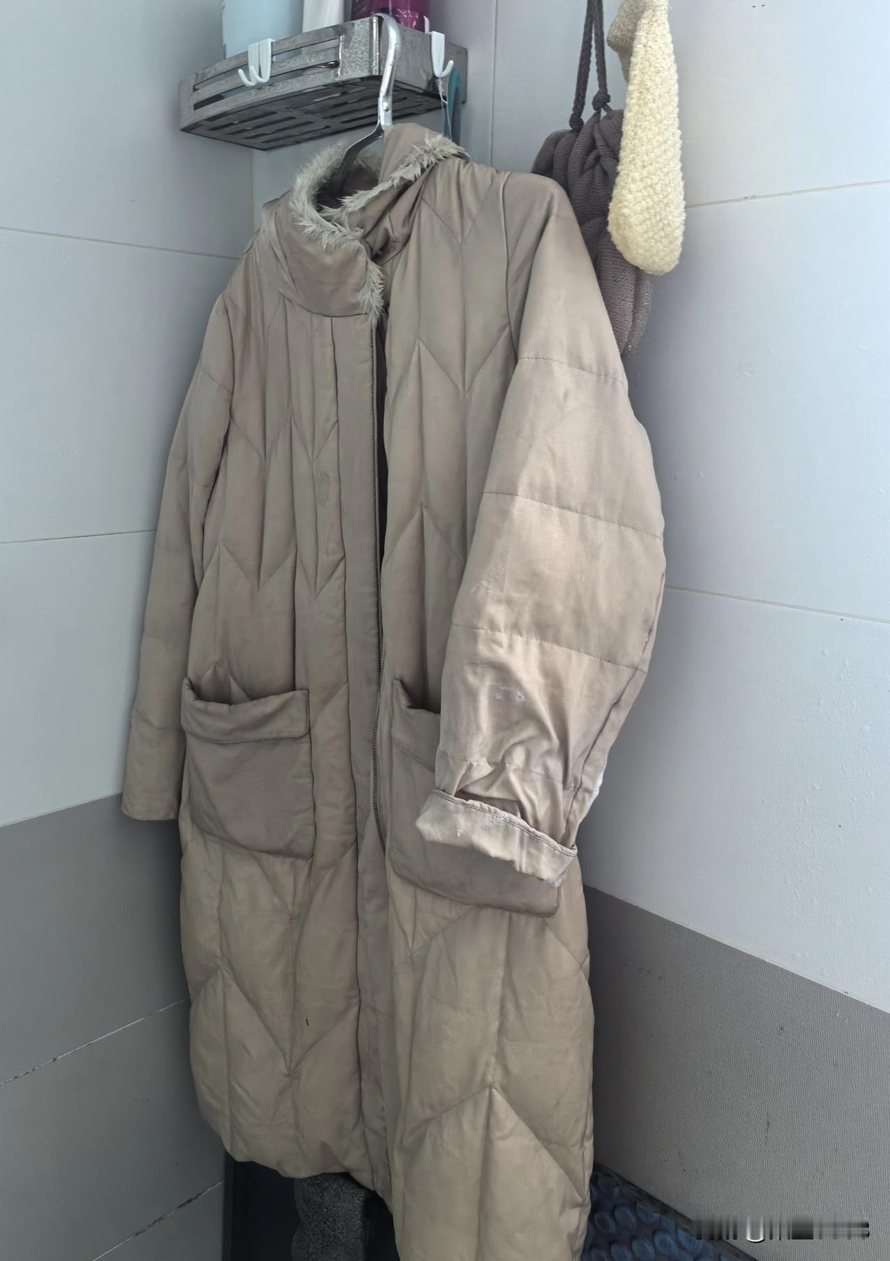 今天我开始洗羽绒服了。衣帽间里专挂已穿待洗的衣架上挂满了长长短短，厚或薄的各色羽