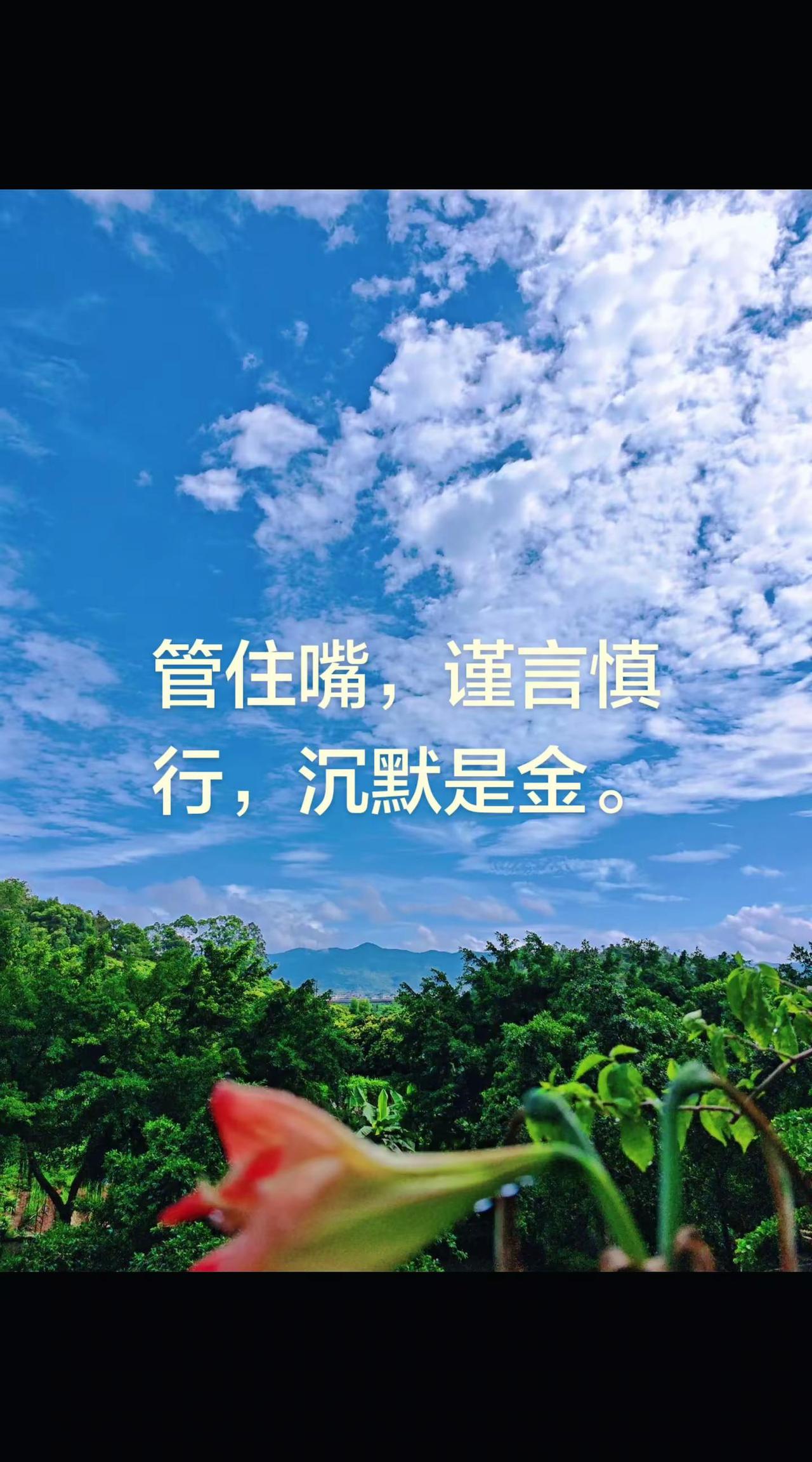 花与蓝天