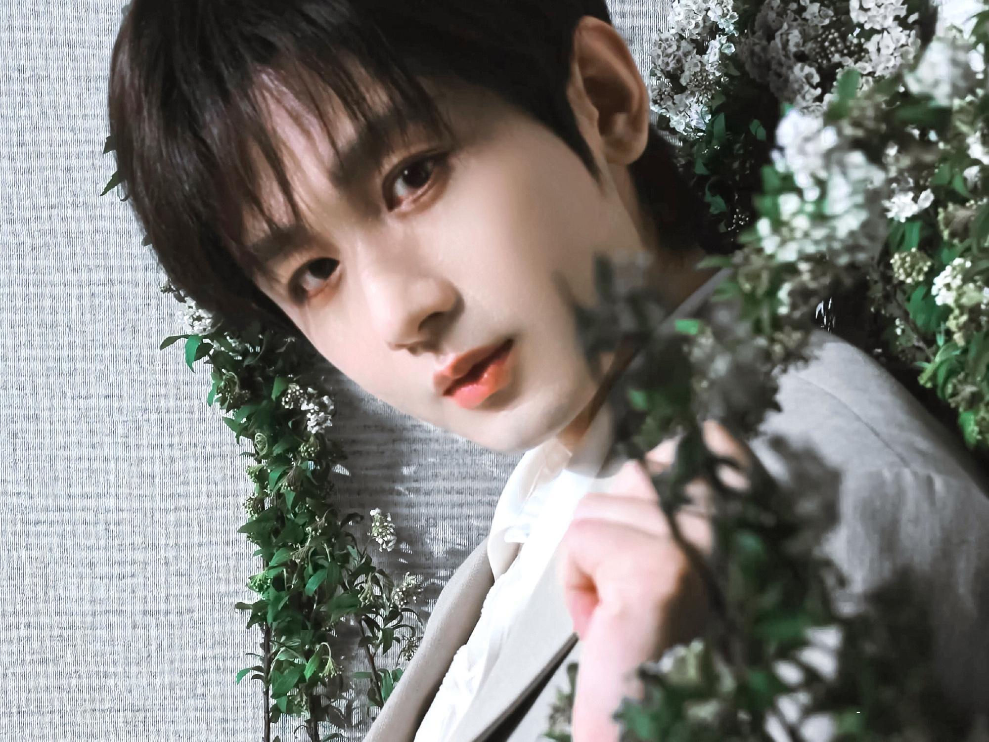 电视剧莲花楼 有小淇是世界的幸运