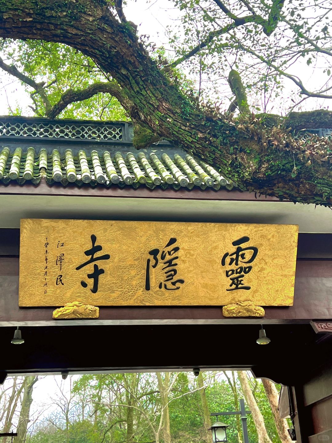 灵隐寺的灵气真的好旺！！附详细旅游攻略‼️