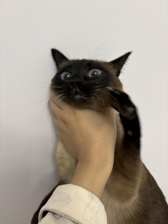 9命呀