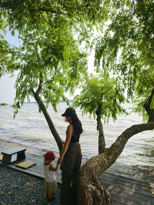 苏州这家隐密咖啡店|治愈了我的精神内