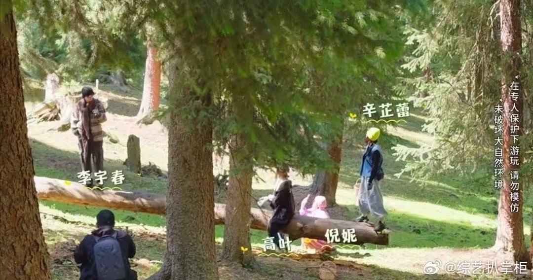 李宇春站跷跷板给辛芷蕾出片向野的我们 李宇春这拍照角度找得绝了，站在跷跷板上都能