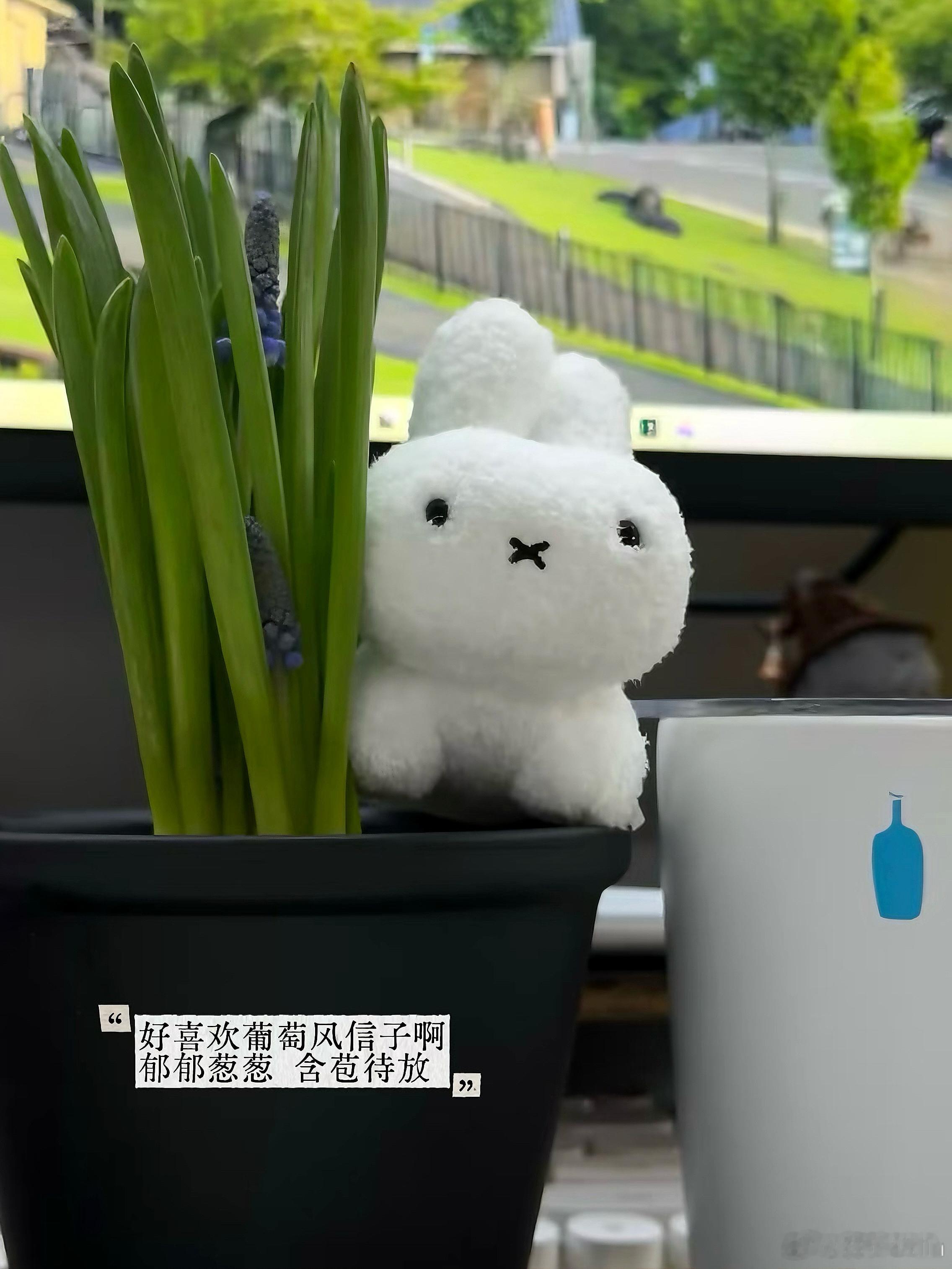 :)欢迎收看打工频道🧏♀️/最近边工作边在学习专注自我因为很多时候我们感觉累不