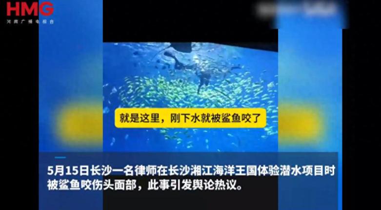 “这不是要人命嘛！”6月15日报道，湖南长沙，一位律师在海洋馆体验潜水。下水才十