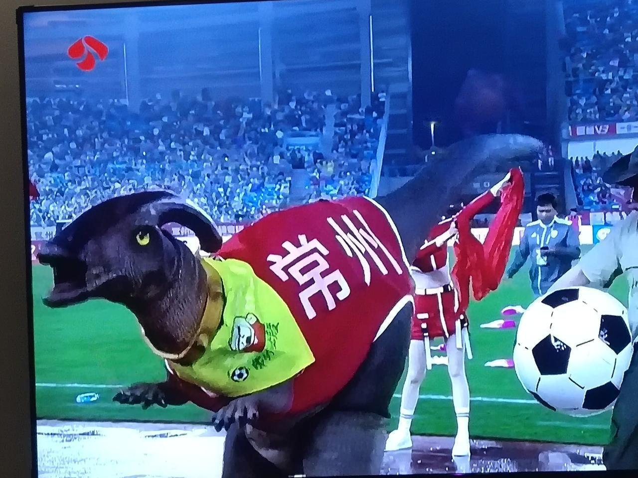 常州进球了，2026第一场球赛，跟南通对决，常州上半场就进球了，点球进的。

说