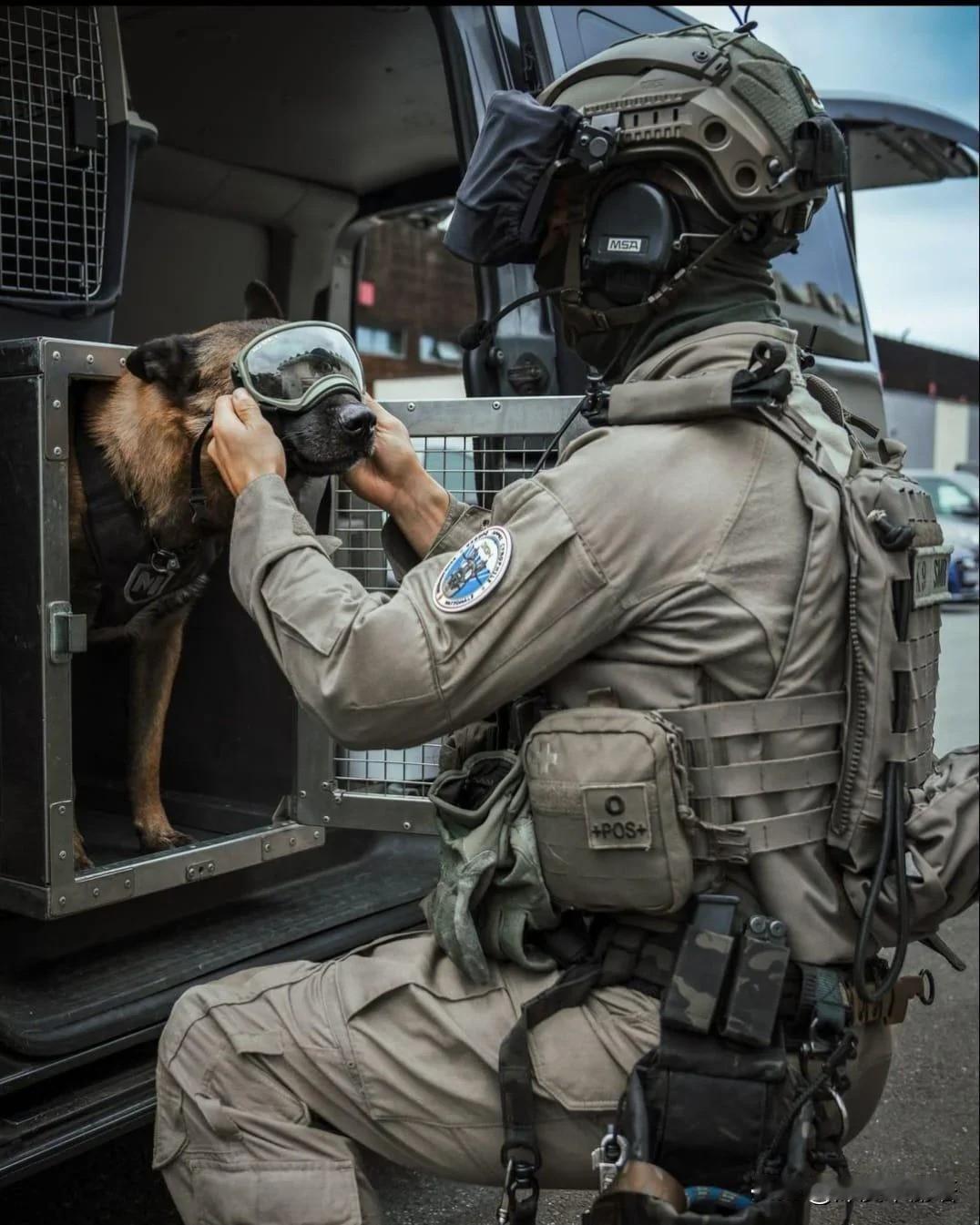 法国GIGN 操作员和他的 K9 同伴。 2024年