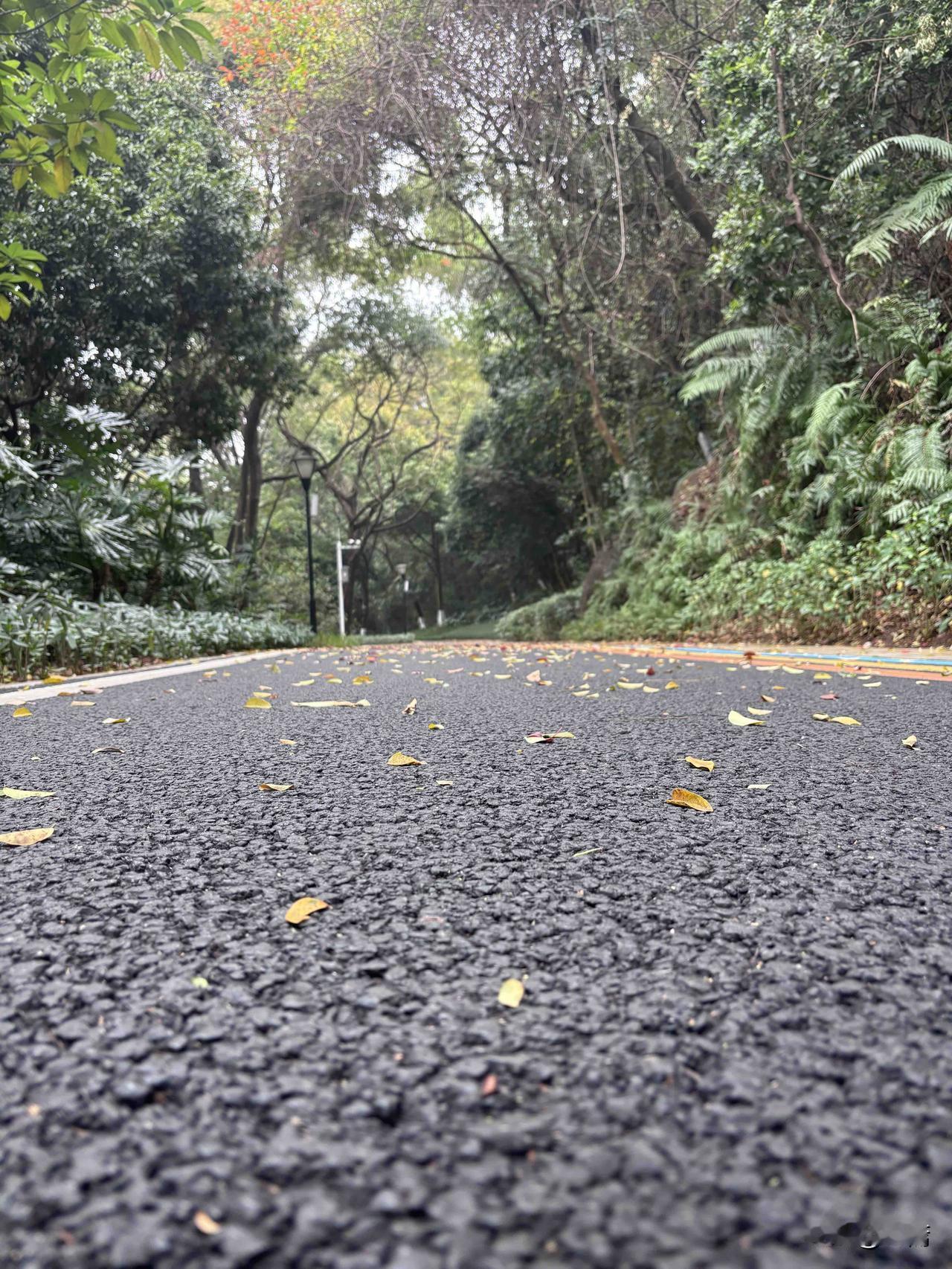 广州连续多日被北方的沙尘暴欺压，空气质量差的一批！

何以解忧？唯有山林。
