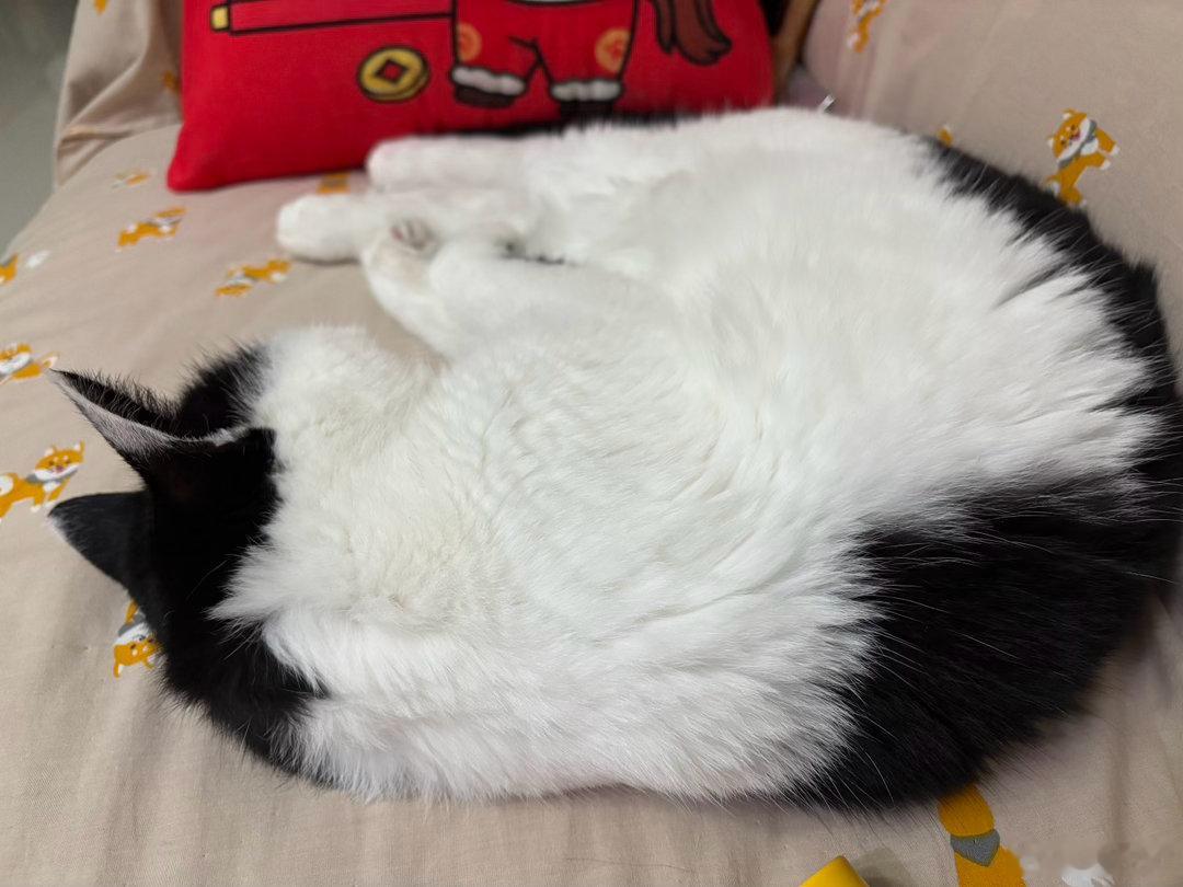 晚安💤 
