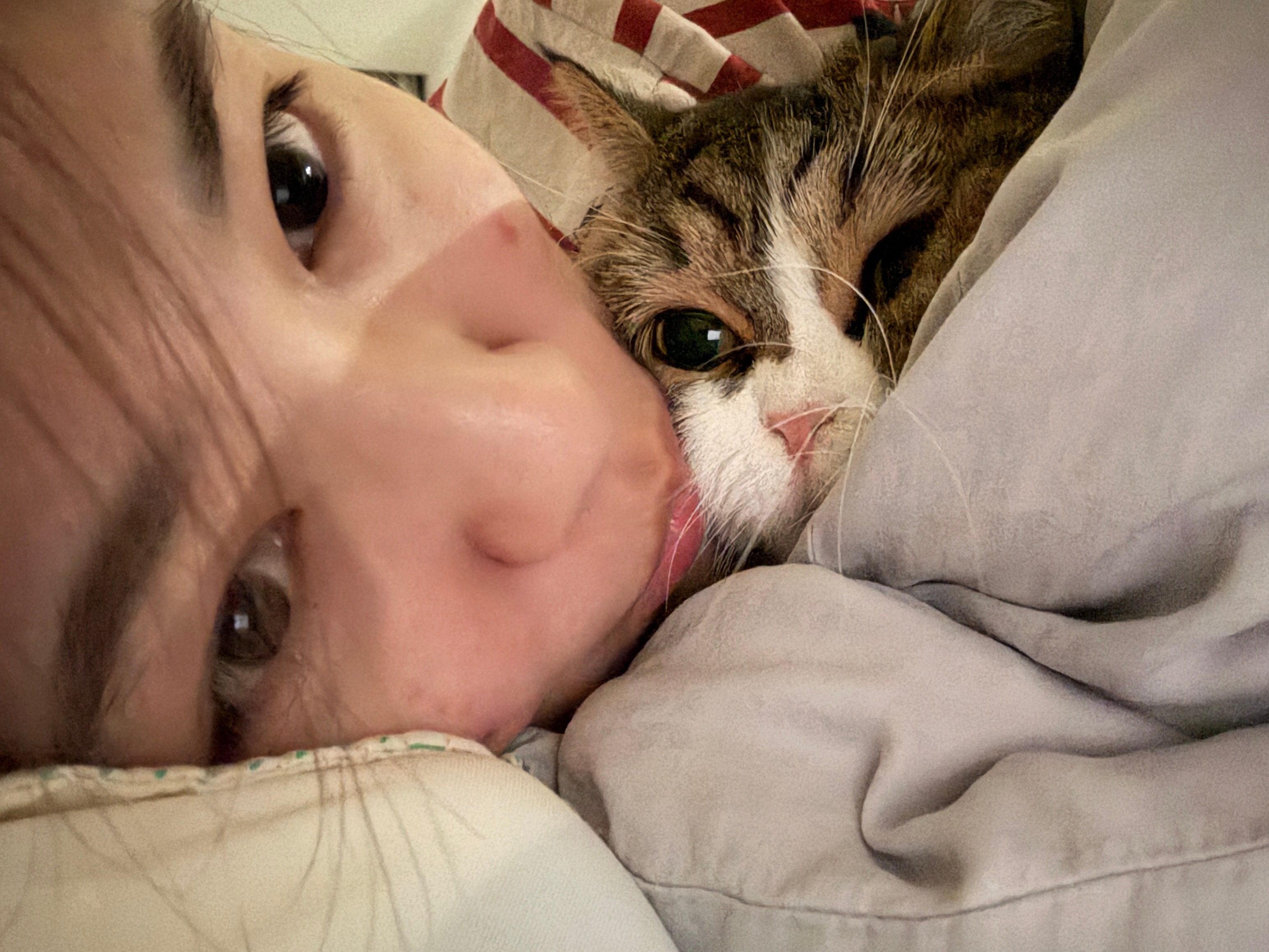 🌙 