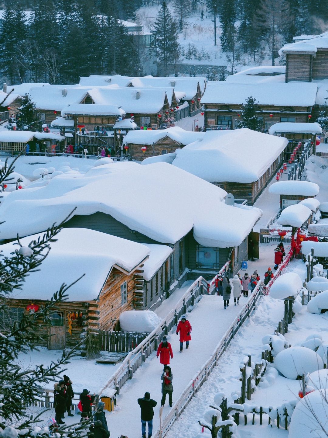 哈尔滨去了，雪乡也去了，说几句大实话