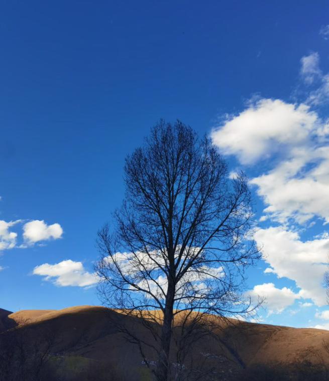 看懂这几件事，才明白 “百年未有之大变局” 不是空话

“百年未有之大变局”，当
