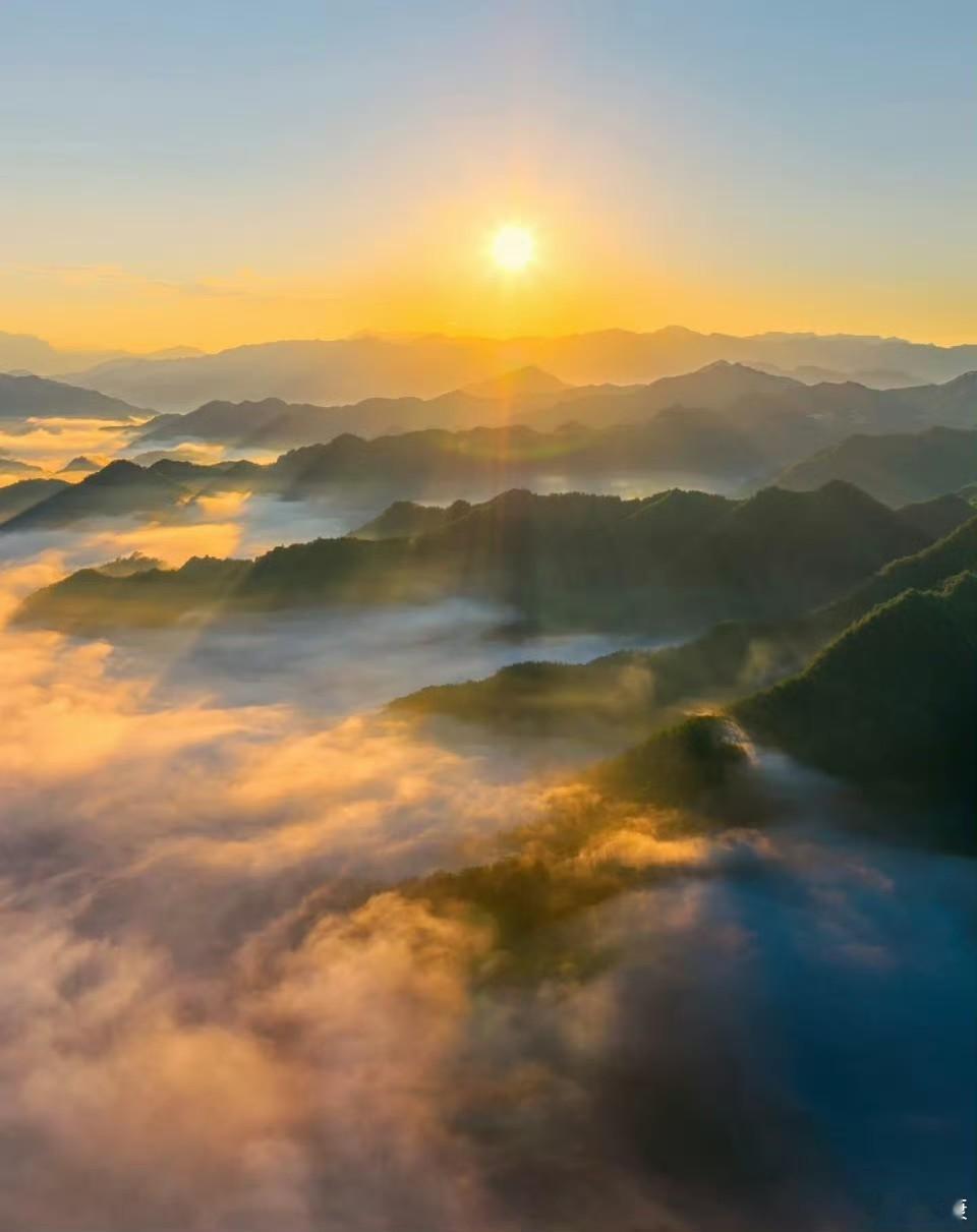 为惠农公交专线点赞！[鲜花][鲜花][鲜花][good] ​​​
