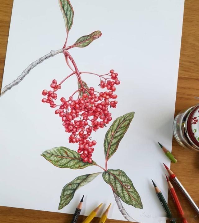 又是新的一天了，愿你放下昨日的烦恼，拥抱今天的快乐，加油！早安! 