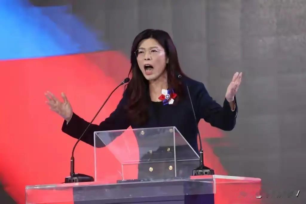 近日，在东吴大学的演讲现场，国民党主席郑丽文面对“是不是中国人”的追问时，掷地有