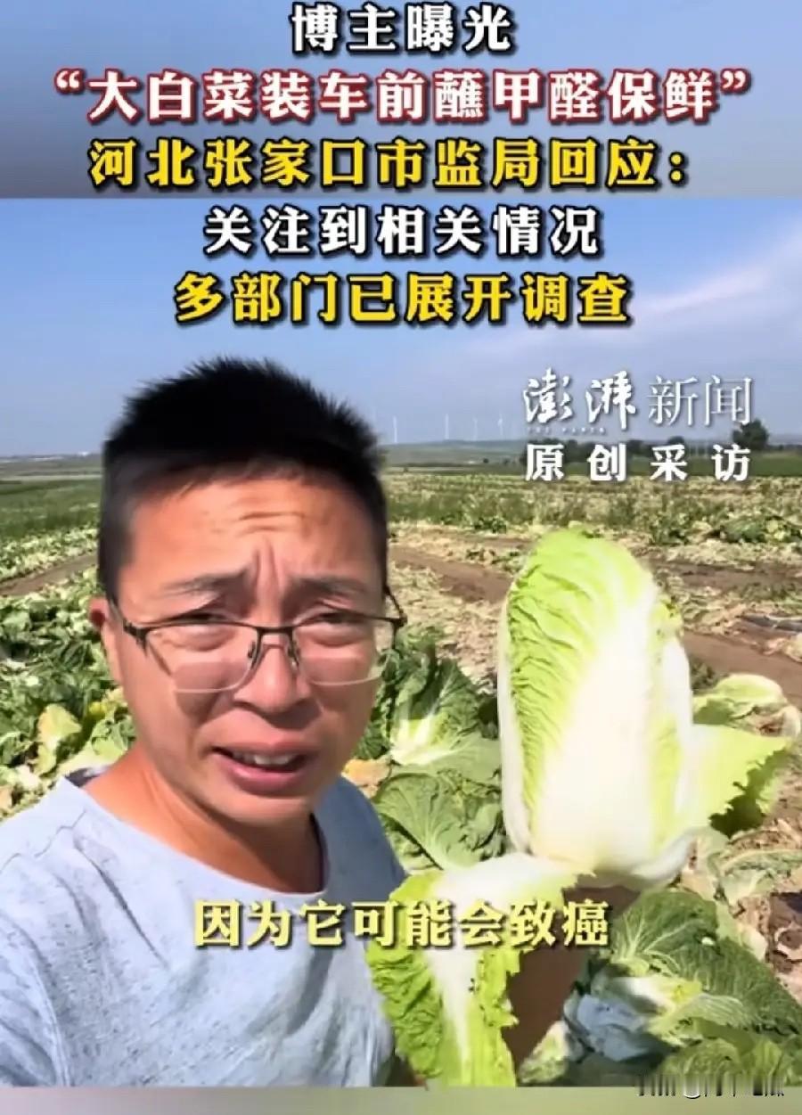 张家口白菜地，装货前为保证白菜新鲜，每棵白菜根都泡了甲醛水，这也太可恶了吧，这是