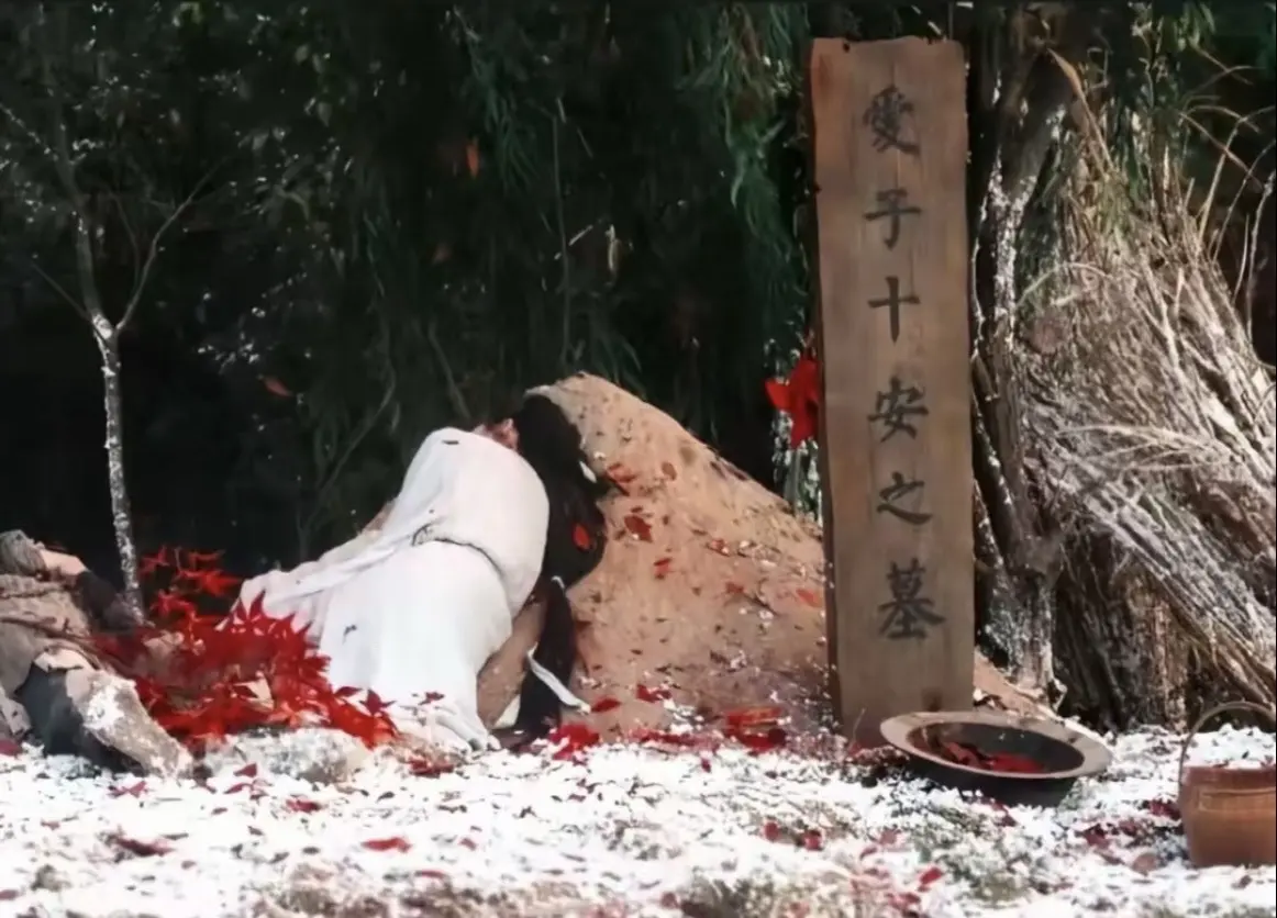 她唯一在乎的人没了 一心只想复仇