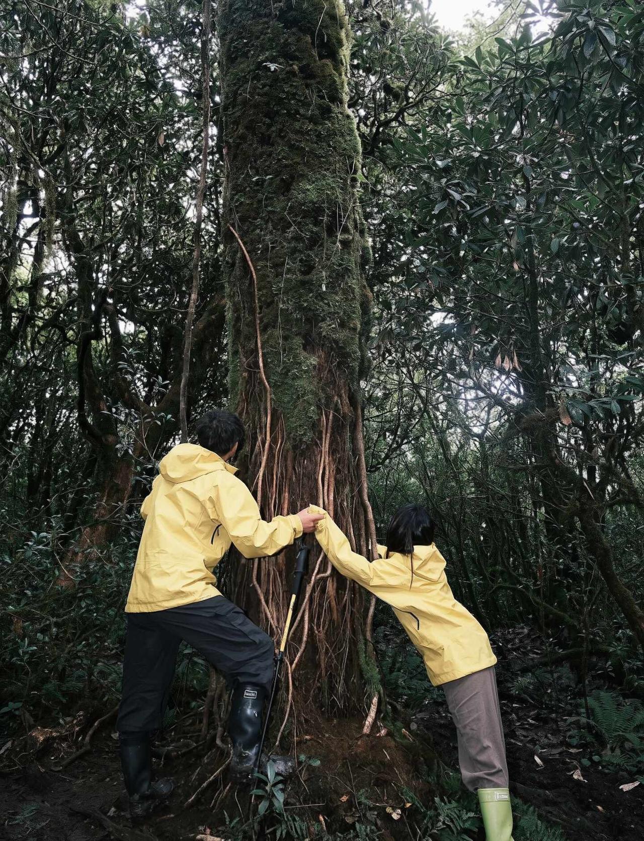 高黎贡山⛰️听森林在呼吸
人的生命 或许本就是一场缓慢的地质运动
这次因为是休闲