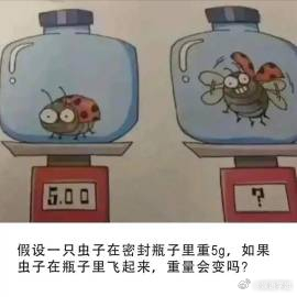 假设一只虫子在密封瓶子里重5g，如果虫子在瓶子里飞起来，重量会变吗？ ​​​