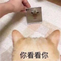 官媒力挺鸿星尔克流浪动物公益卖衣服的收留流浪动物默认衣服上都是虱子，谁买谁脑子有