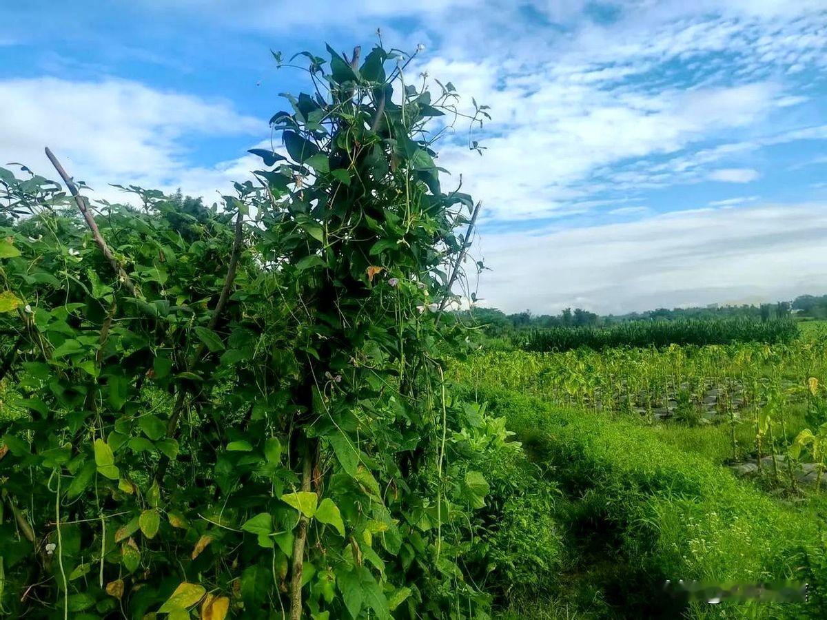 突然收到一条信息，半年多没有联系的朋友跟我聊起了钱，引起了我的警惕，没想到是我误