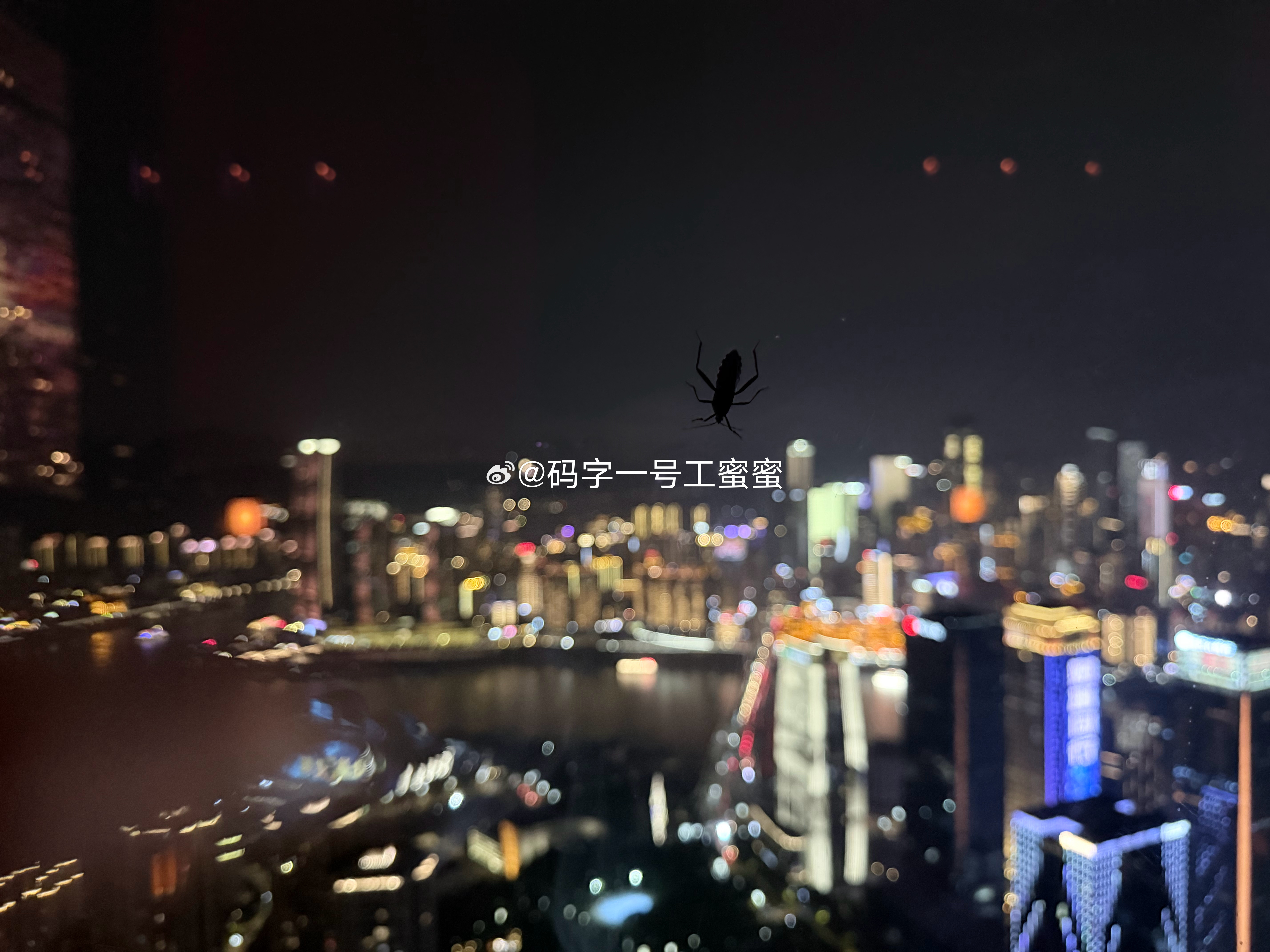 这虫子能爬到62楼也不容易，能欣赏到这么好的夜景，虫生也值了 重庆·江北嘴中央商