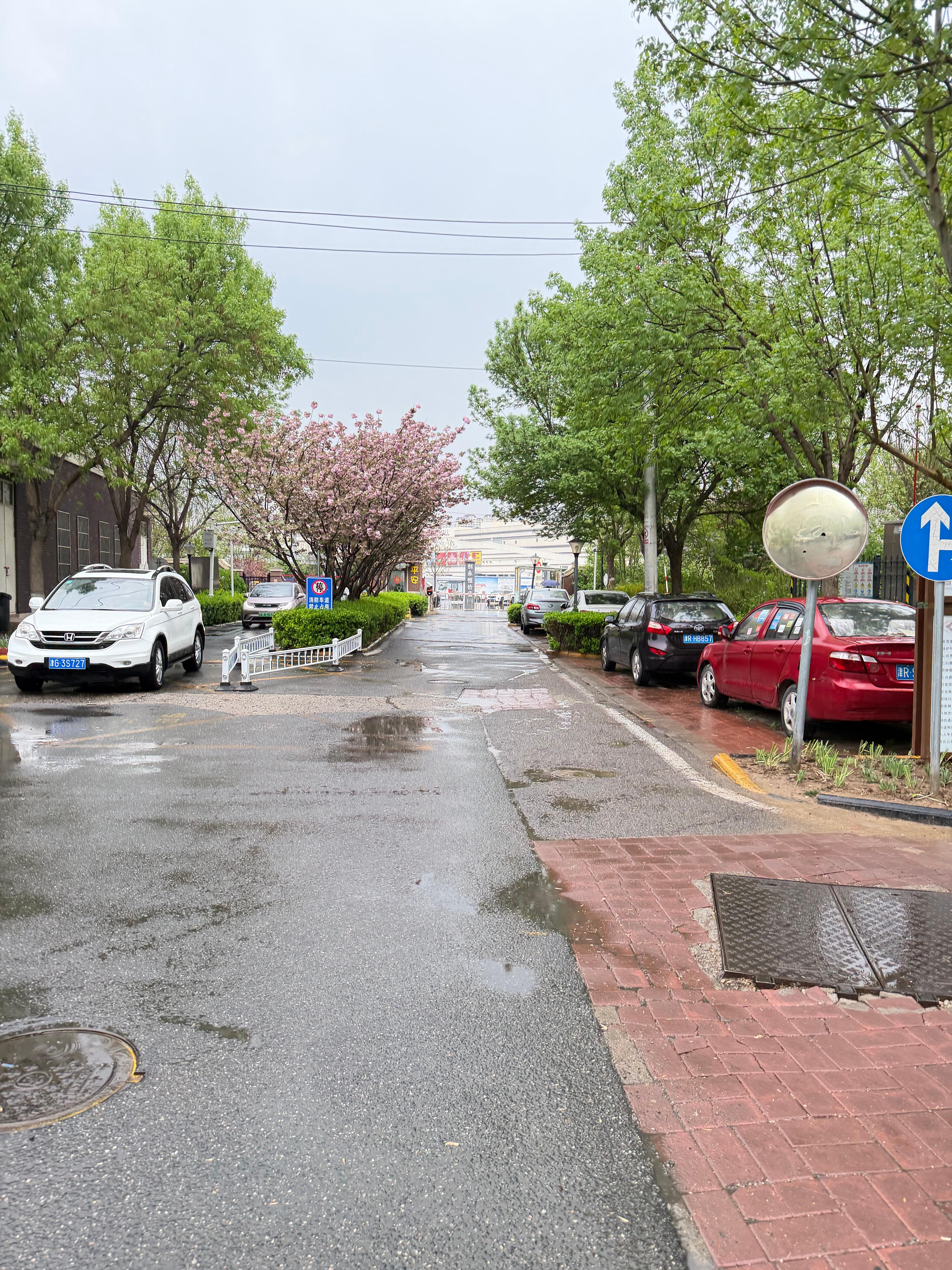 春天的第一场雨。我特别特别讨厌下雨。也很不喜欢撑伞。讨厌那种湿漉漉的脏感。小时候