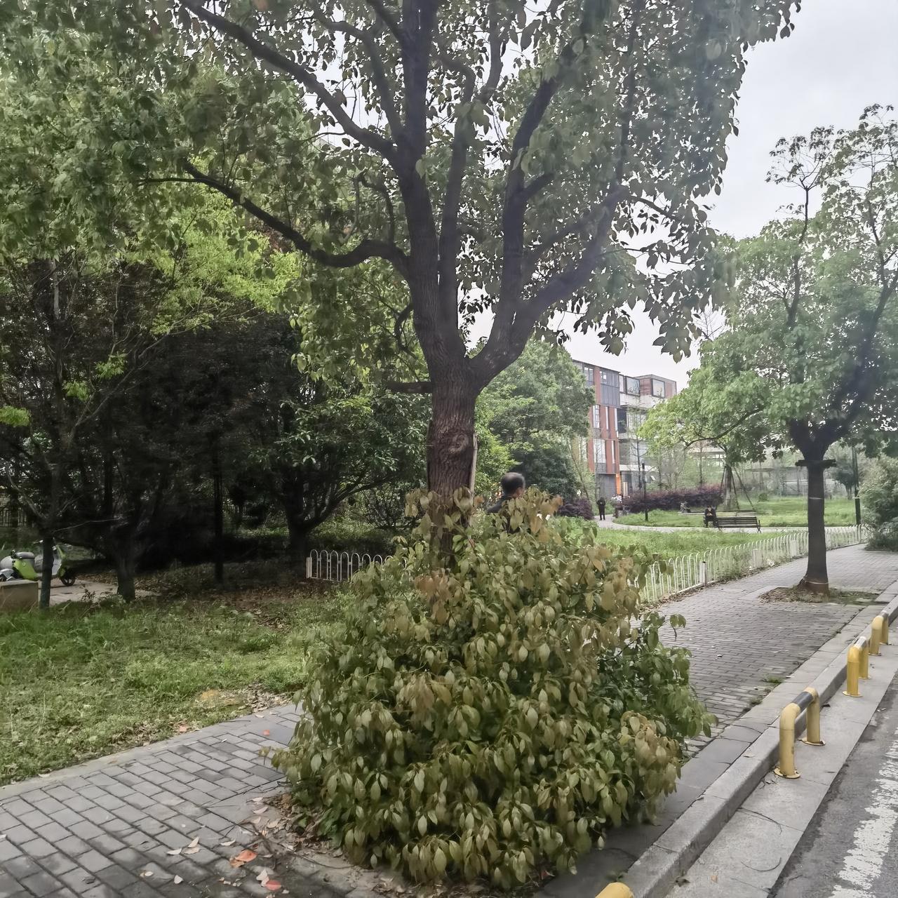 最近感觉很不好，明天得去找大夫复诊了[祈祷][祈祷][祈祷]