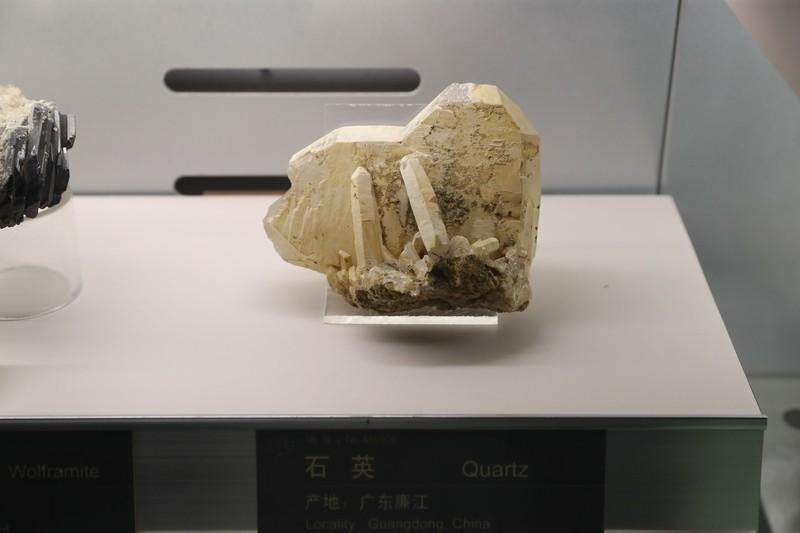 中国在西藏又有了大发现！

据香港《南华早报》报道，咱们在西藏找到了大量的淡色花