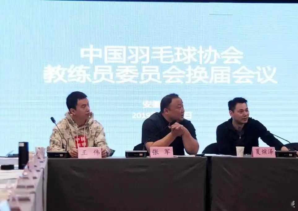 中国羽毛球协会副主席夏煊泽被查继4月中国羽毛球协会主席张军被查后，今天，中国羽毛