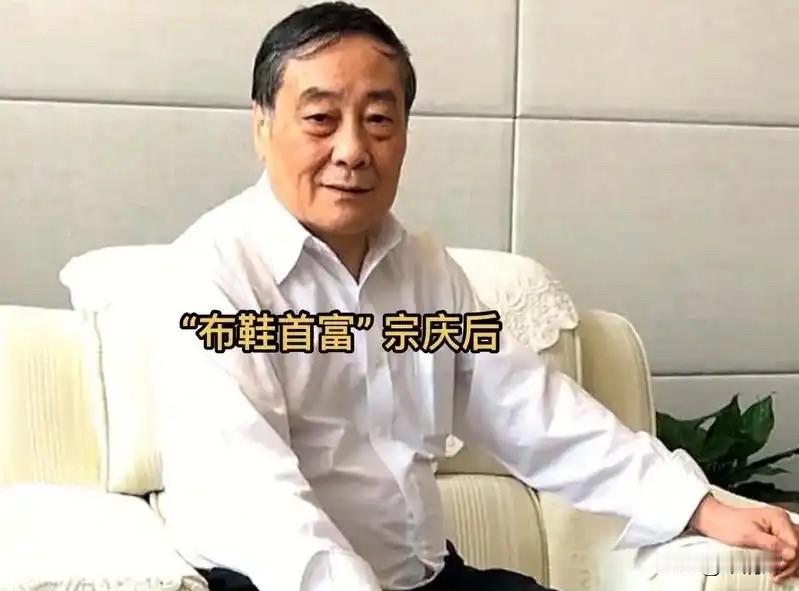 娃小宗，里面似乎有“布鞋首富”宗庆后的影子，前景不妙。