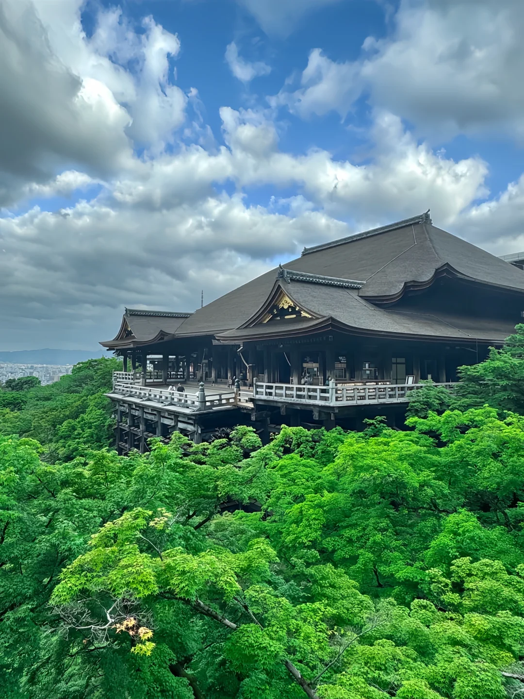 到京都一定要安排一次早起去清水寺🚶‍♀️