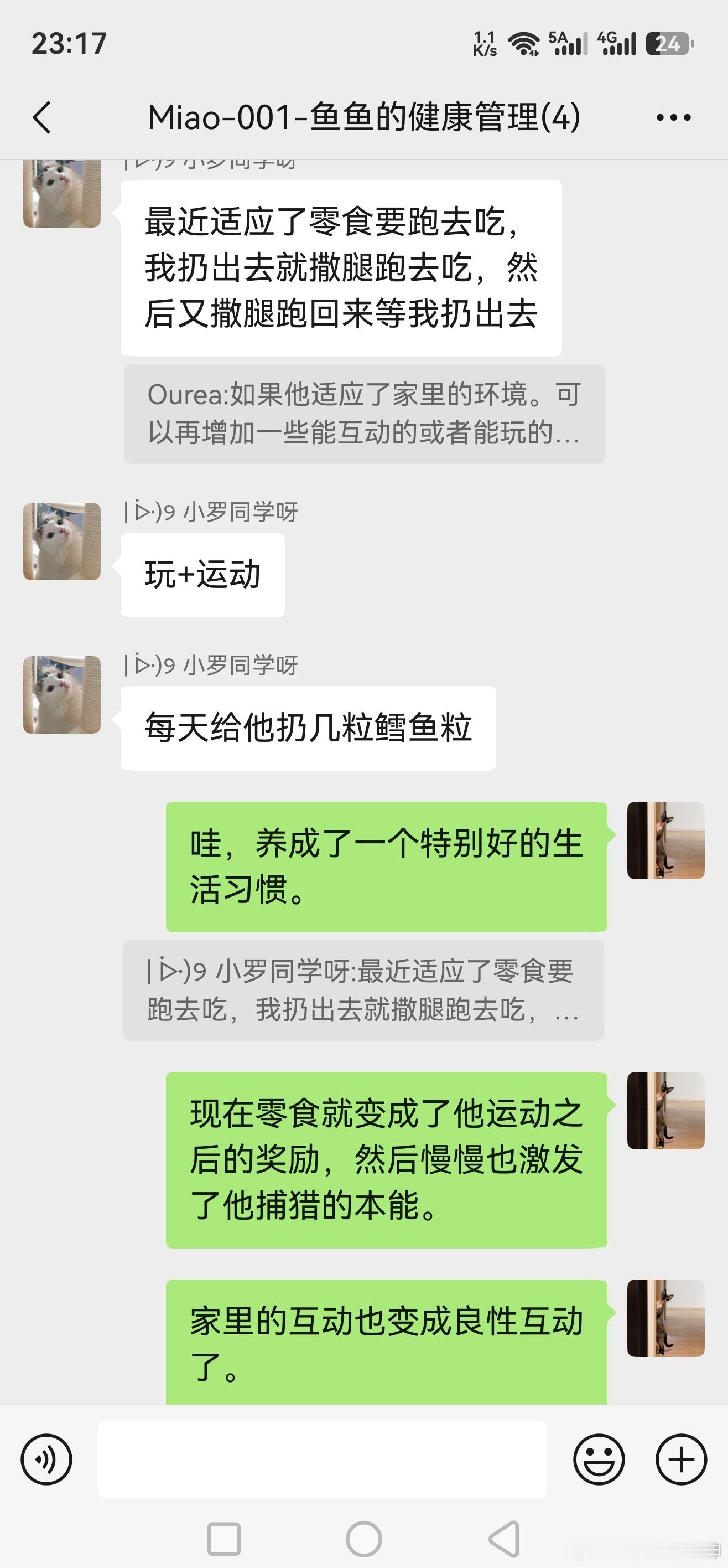 我的第1位猫客户，经过家长2个月的努力，慢慢唤醒了捕猎本能，把运动融入了生活方式