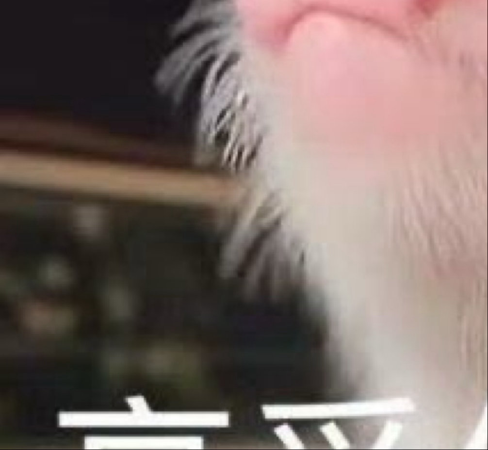 1300《枫桥夜泊》唐·张继月落乌啼霜满天，江枫渔火对愁眠。姑苏城外寒山寺，夜半