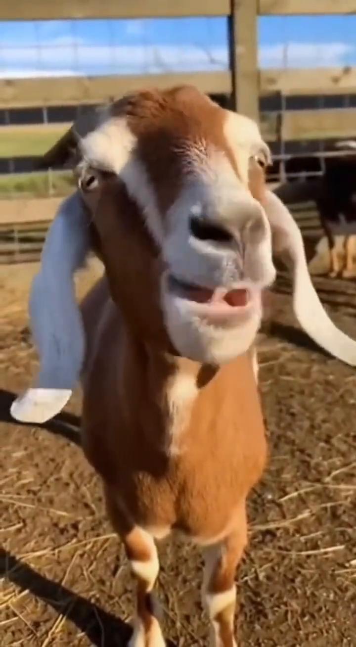 啊，啊，啊，啊，啊，啊，啊，啊，啊，啊，啊，啊，啊，啊，啊，啊。