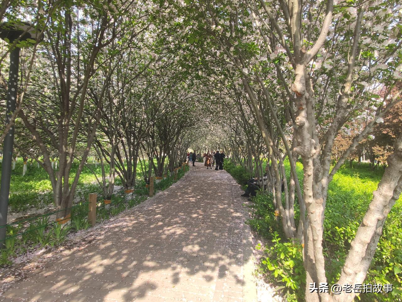 今天一接班，就见同事老王大声的对着手机像是和谁争吵。看他激动的样子，似乎要崩溃了