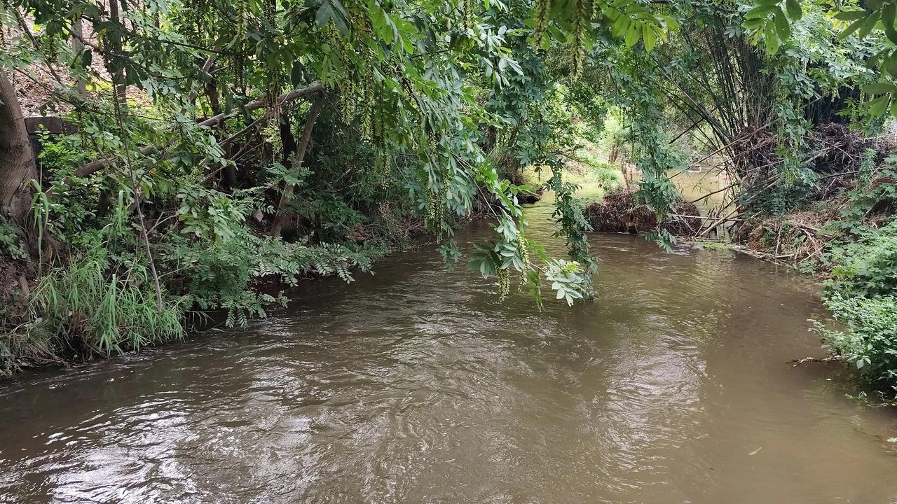真心话茶局久居城市的人看到这样的山野场景，也会兴奋，激动好一会！美丽的自然风景分
