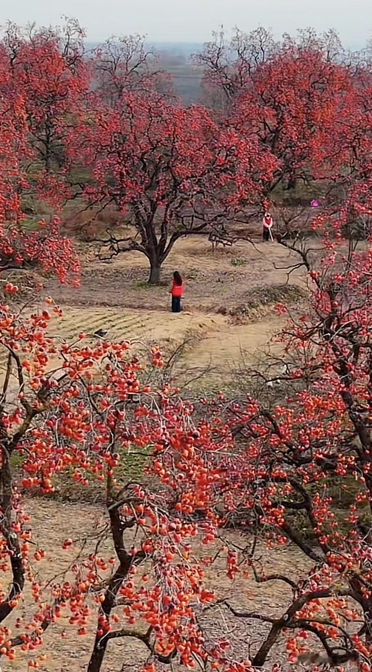新思维：幸灾乐祸的人，日子过得并不好。

你一定见过这样的人：网络评论区里，别人