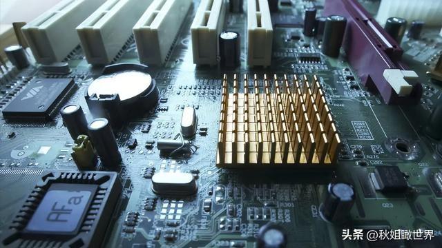 看重实打实经济红利，荷兰经贸代表团访华诚意十足

从中荷经贸基本面来看，中国庞大