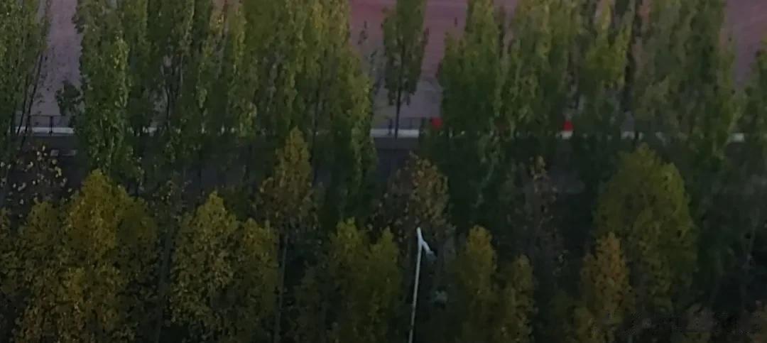 郑州，可能晕乎了，所以忘记了春、夏、秋、冬。
暖气公司，可能晕乎了，所以不知道上