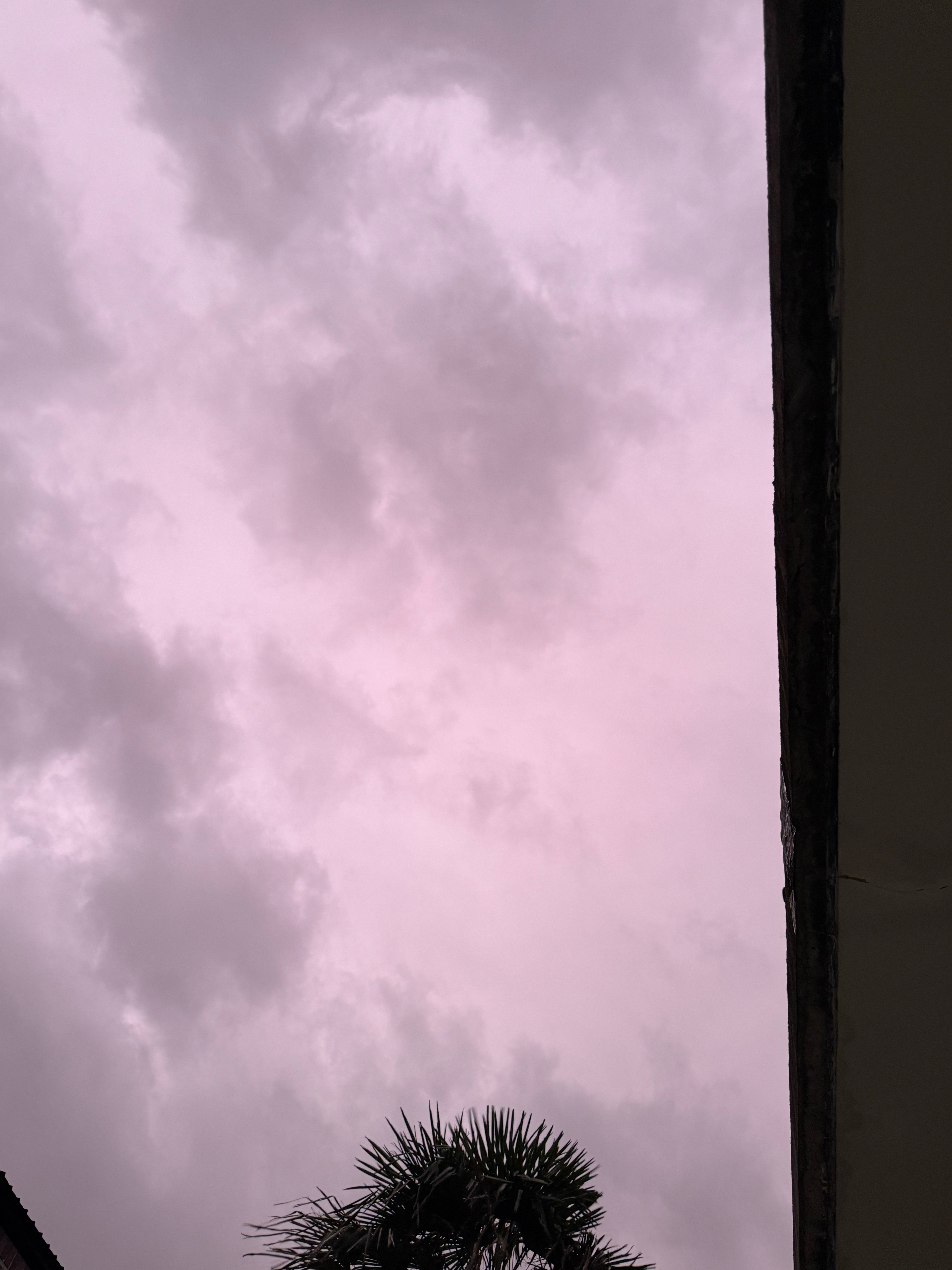 巴威台风来临前的天空（其实是紫黑色 📱拍不出来 