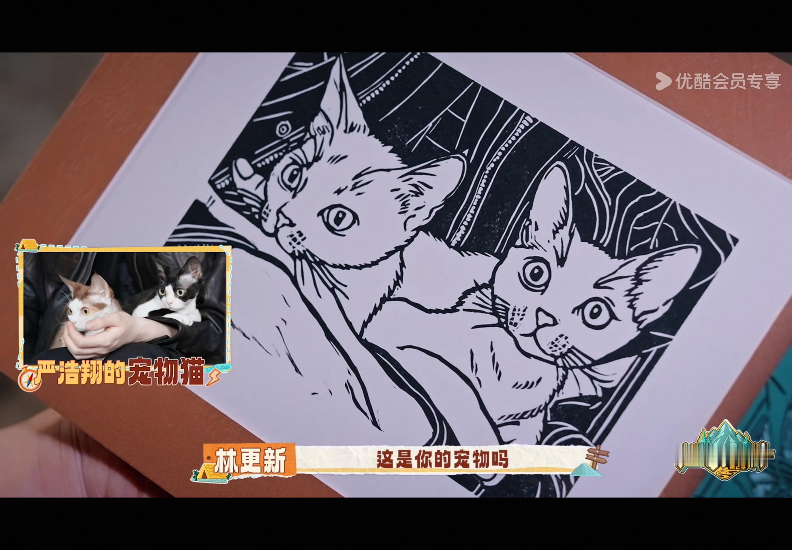 好萌呀