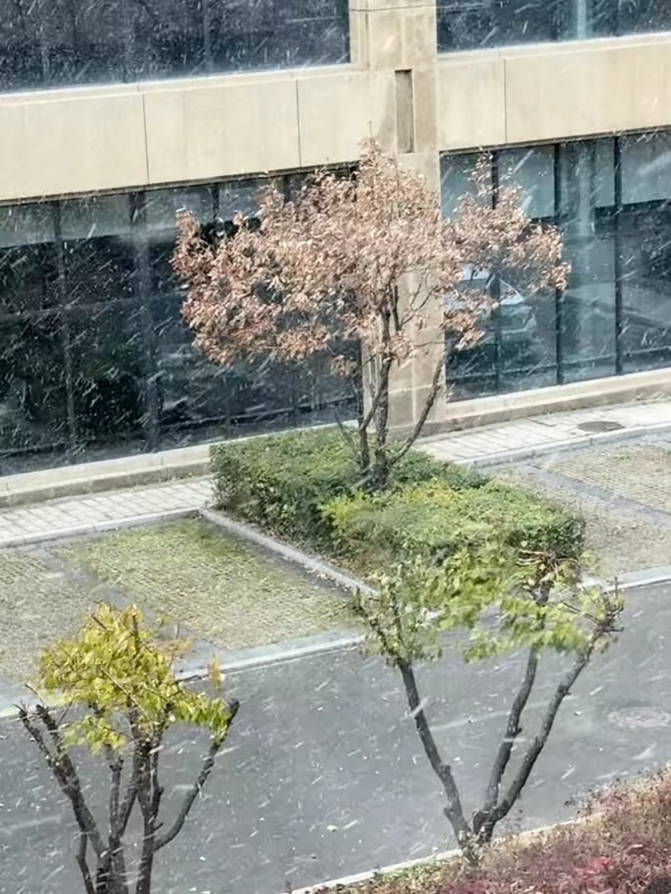 今天的朋友圈都在发长春下雪了，没想到秋天就下了第一场雪，只是我所在的位置没有下。