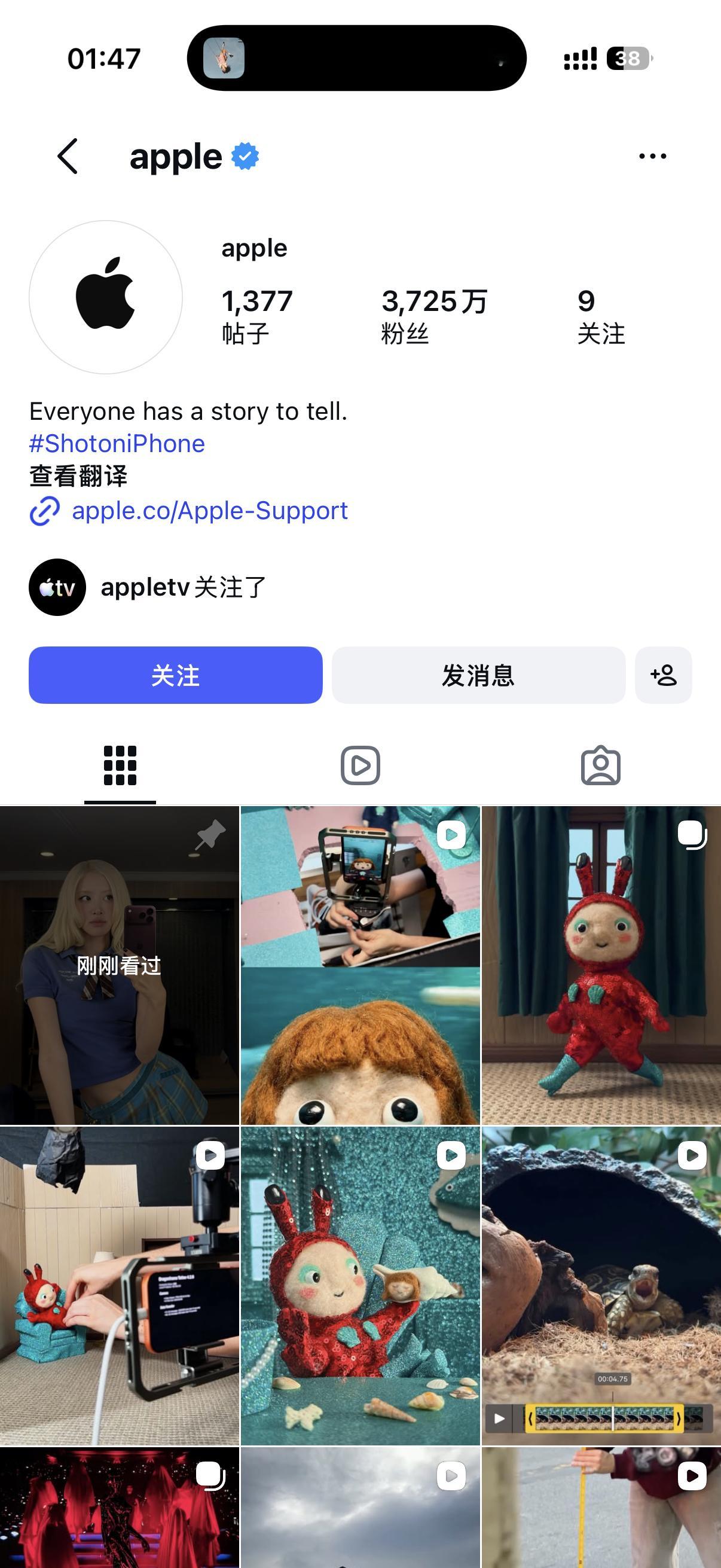 ROSÉ[超话]  Apple IG置顶朴彩英[吃惊] ​​​
