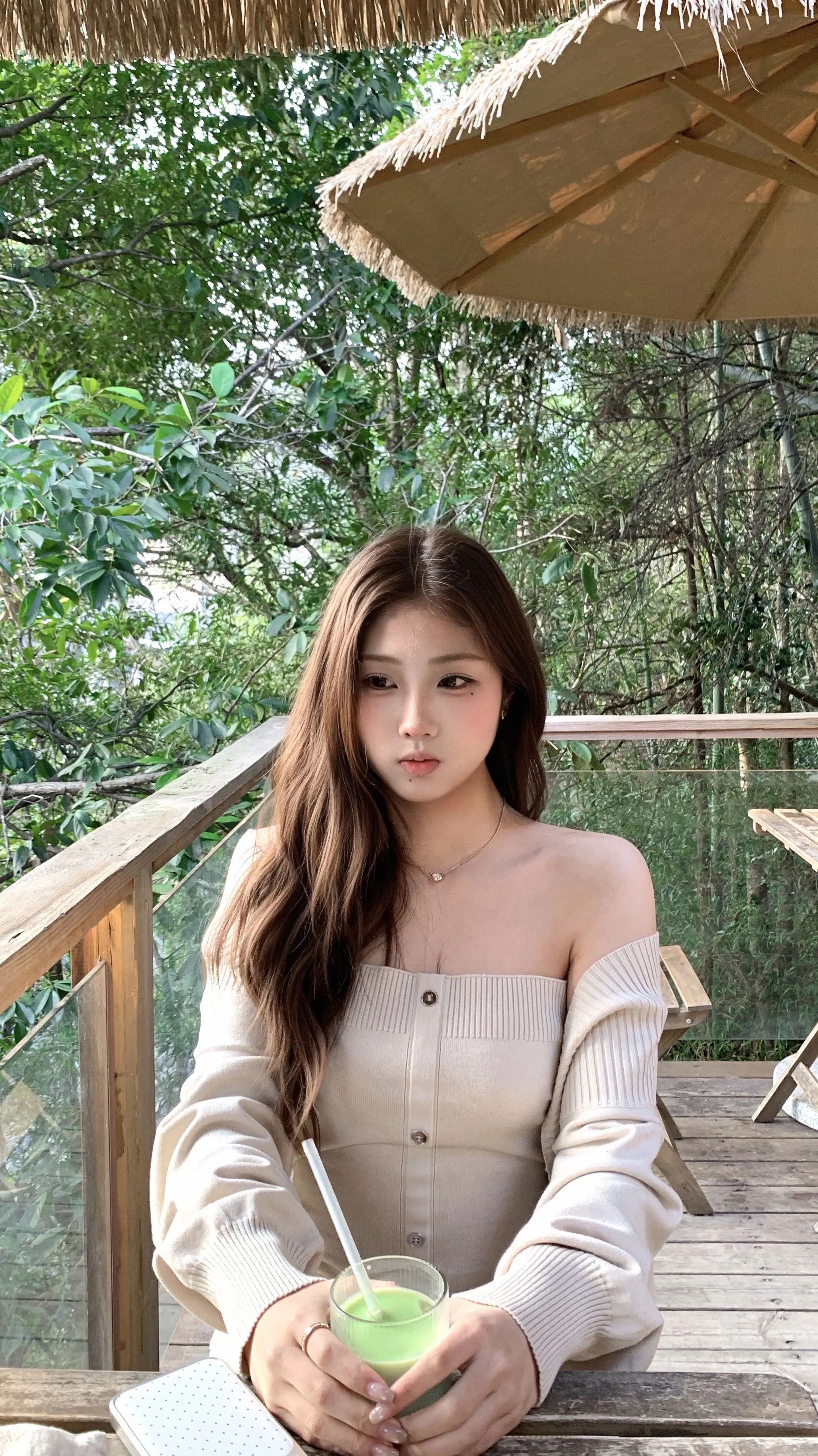 新的故事 会在春风中悄悄开始