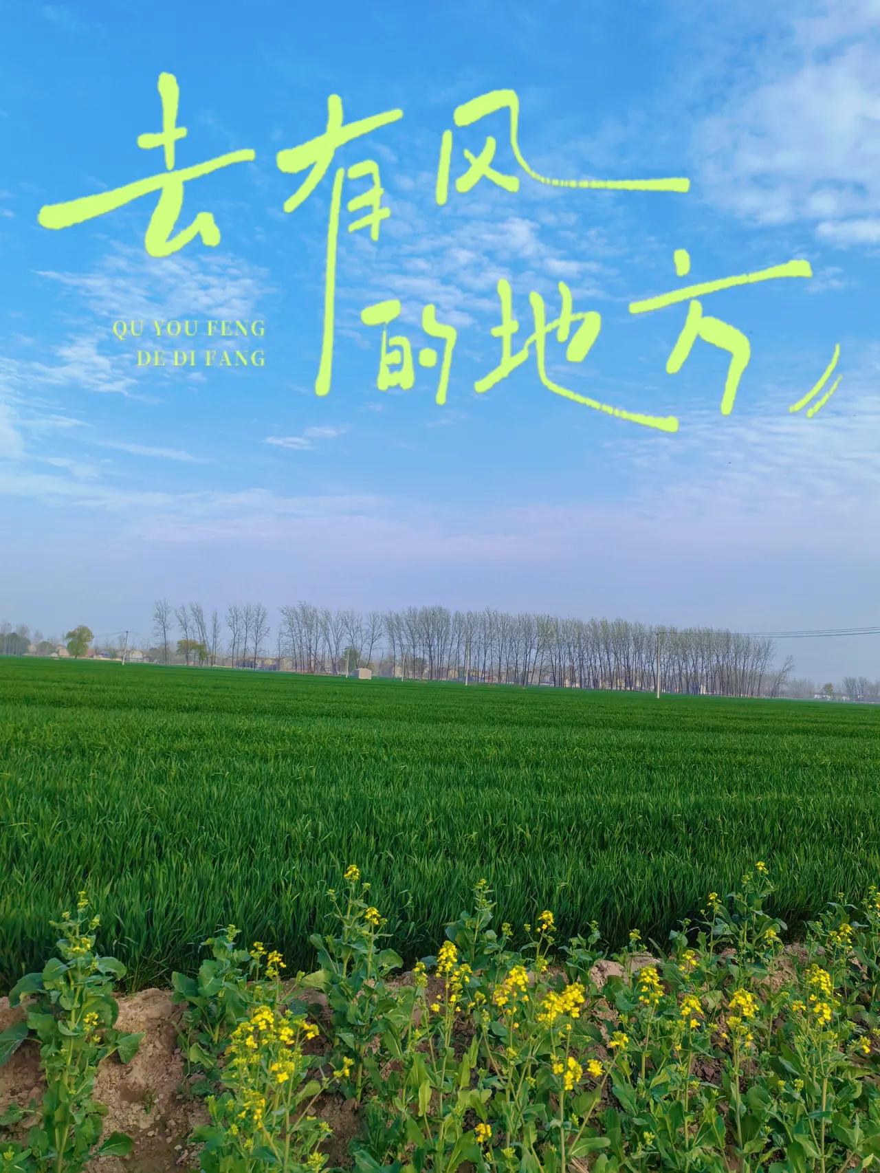 他乡纵有千般好，
不及故乡一片云。

他乡万千繁华
不抵故乡一缕风。